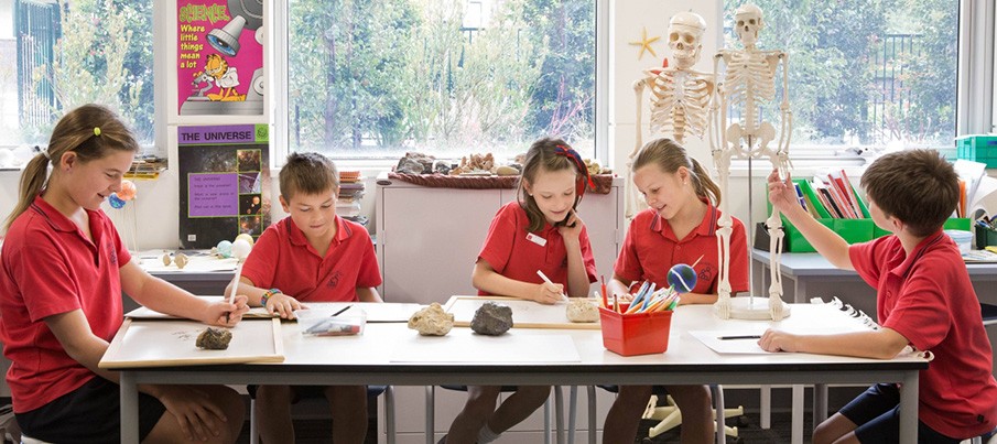 south-australian-primary-schools-top-6-schools